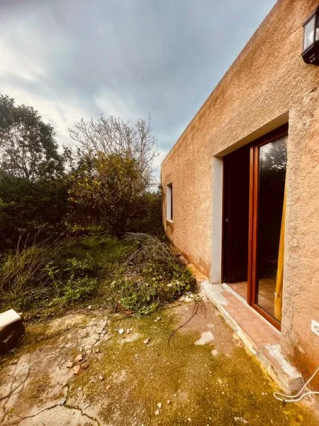 Small casita with garden, 1 bedroom, Es Carritxo (Mallorca) — photo 8