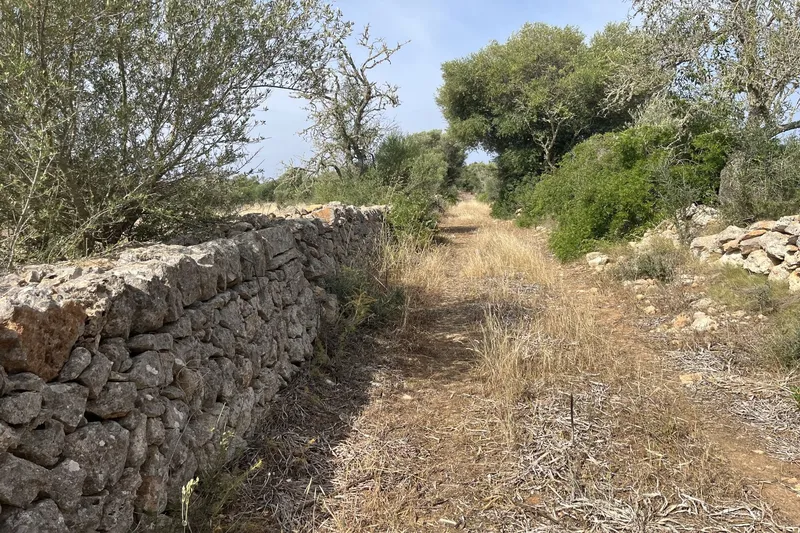Large building plot near Ses Salines with approved finca project — photo 3