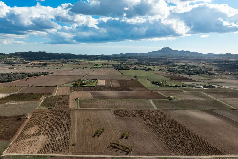 Mediterranean building plot with approved finca project and panoramic views near Manacor — photo 5