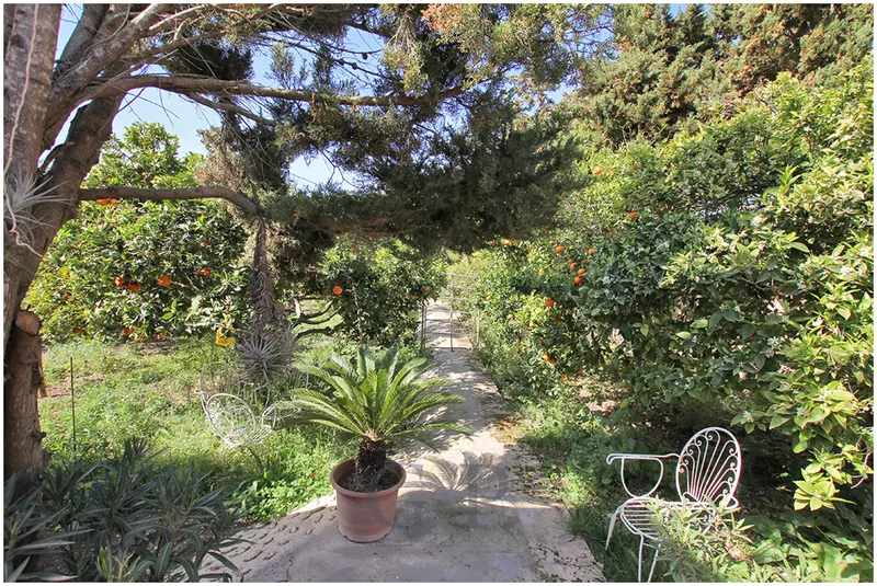Real estate details — photo 11