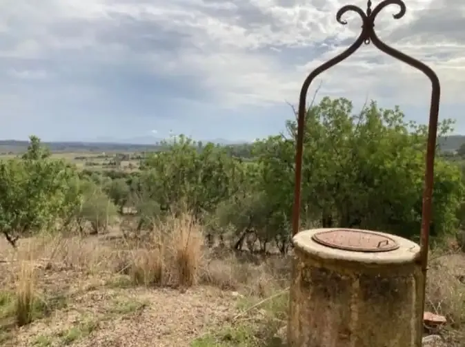 Rustic estate of 25,281 m² for sale with a 99 m² building to renovate, built before 1956 but in good condition — photo 4