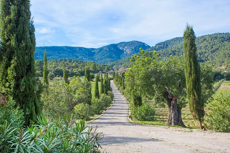 Charming rustic finca in a beautiful natural setting in Establiments — photo 4