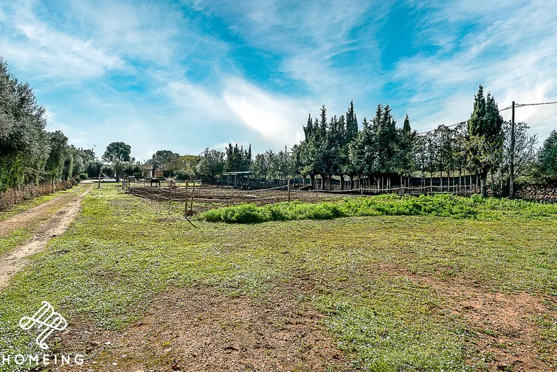 Beautiful rustic estate with 3-bedroom house, pool and large storage room — photo 6