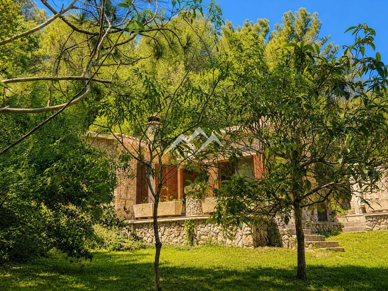 Charming finca just 2 minutes from Puigpunyent — photo 10