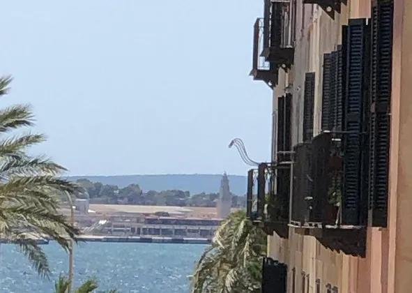 Flat / apartment in Calle del Bastió d'en Berard, 5, La Calatrava, Palma de Mallorca — photo 1