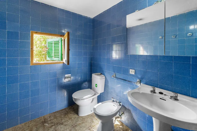Old Finca in Campos - Investment Opportunity — photo 4