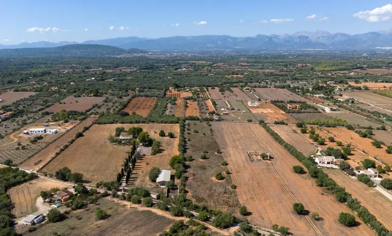 Rustic plot in Algaida — photo 1
