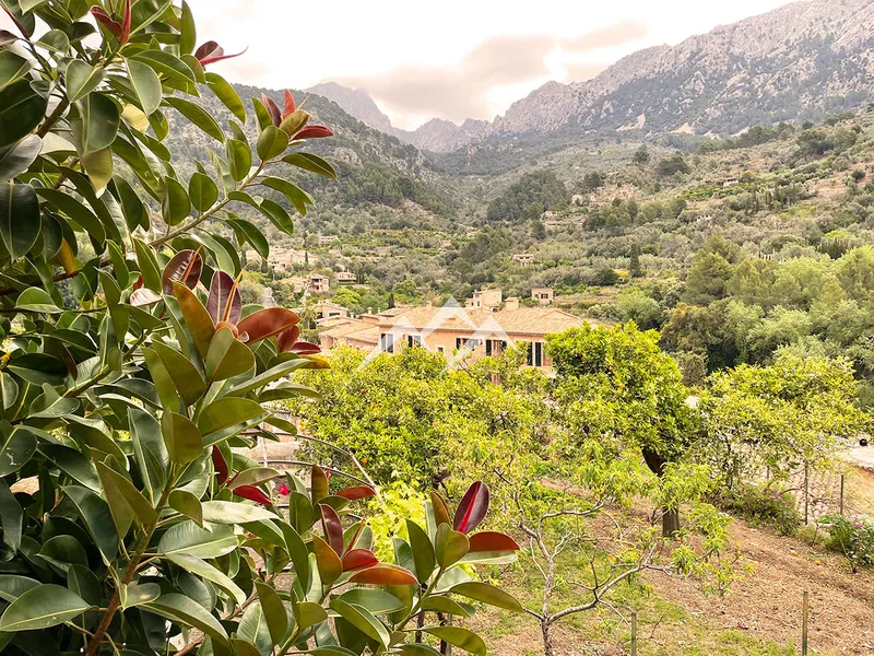 Emblematic Manor House in the center of the beautiful village of Fornalutx — photo 11