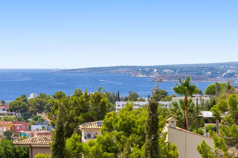 Luxurious estate with breathtaking views — photo 4