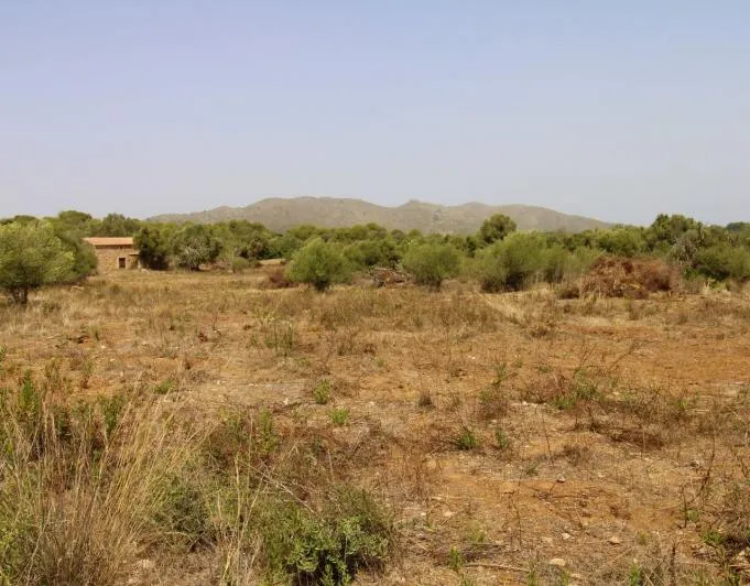 Beautiful rustic finca near the village of Arta — photo 2