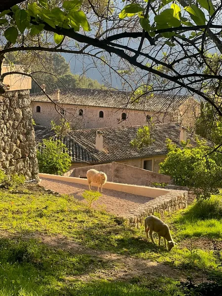Mallorcan hamlet in Sóller — photo 9
