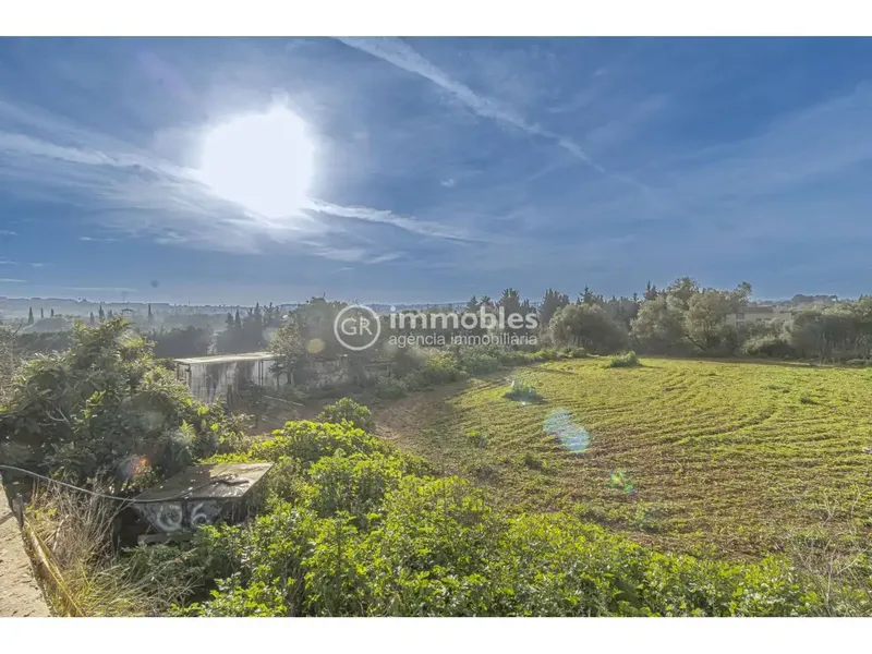 Rustic estate for sale of 14,186 m² with main agricultural use, located in a quiet and natural environment, less than 1 km from Muro, in direction — photo 12