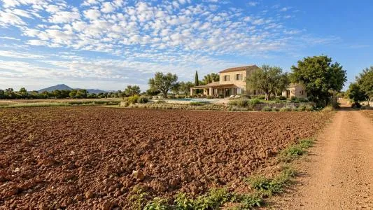 Rustic property - Manacor (outskirts), built surface 85 m², plot surface 28,442 m², 1 room, 1 bathroom — photo 2
