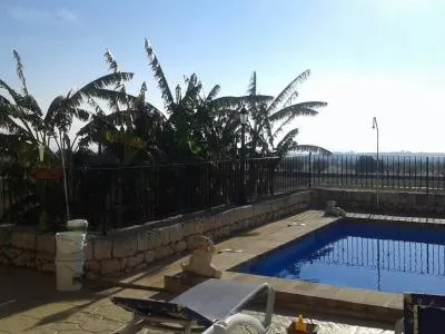 Top finca in the Manacor / Porto Cristo area — photo 12
