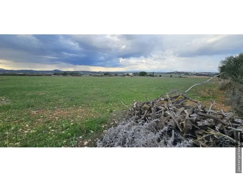 Plot for sale on Camino de Son Reixach s/n — photo 1