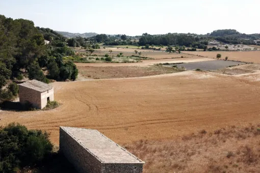 Montuiri, Exclusive New-Build Country House near Montuïri by an Internationally Award-Winning Architect — photo 11