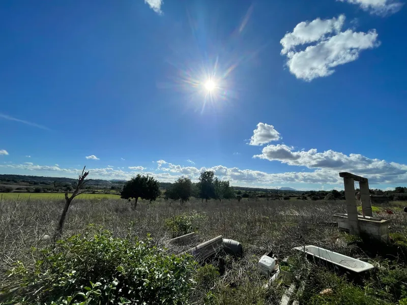 Rustic property - Llubí — photo 7