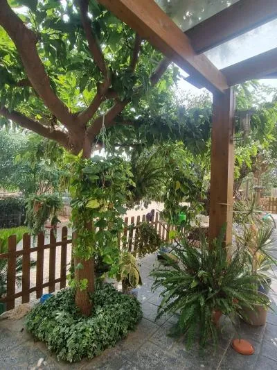 Rustic property - Reus (Llevant) — photo 3