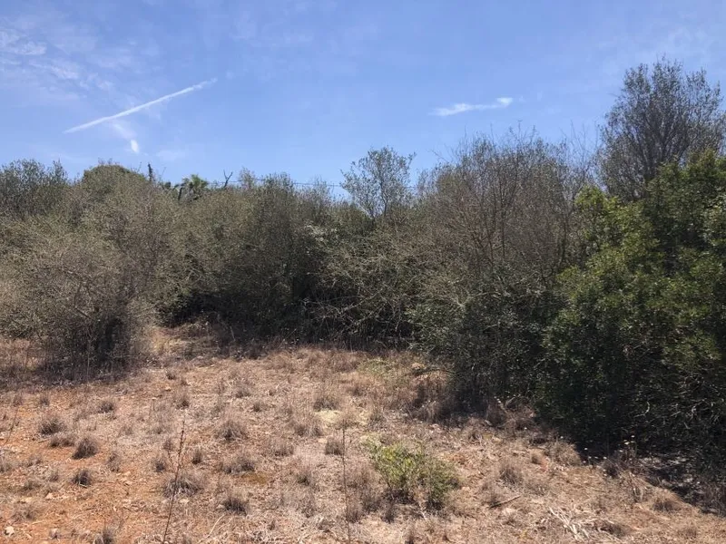 Large plot of about 820m2 on a quiet street in Cala LLombards — photo 2