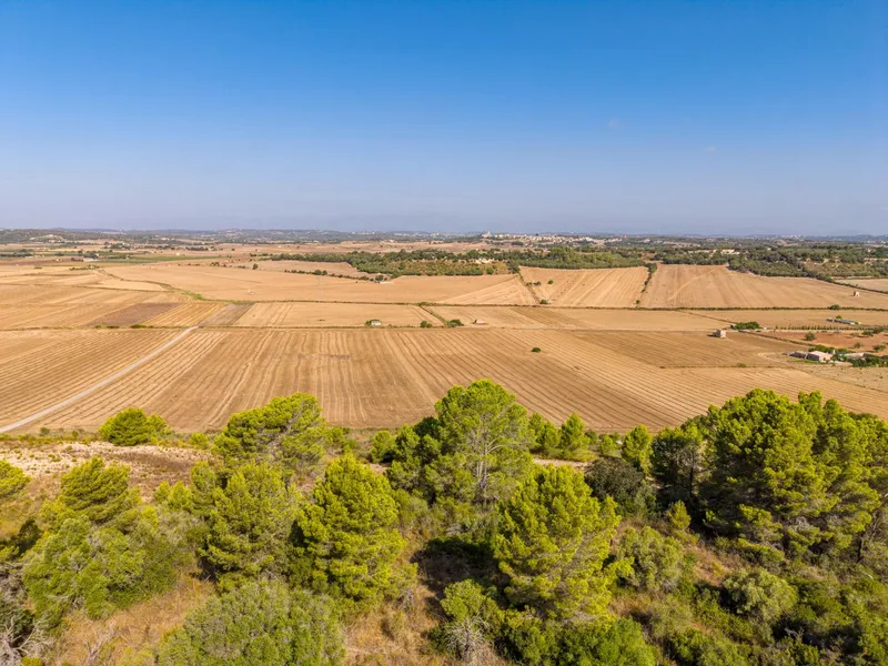 Buildable plot of 29,547 m² with open views in Petra — photo 12