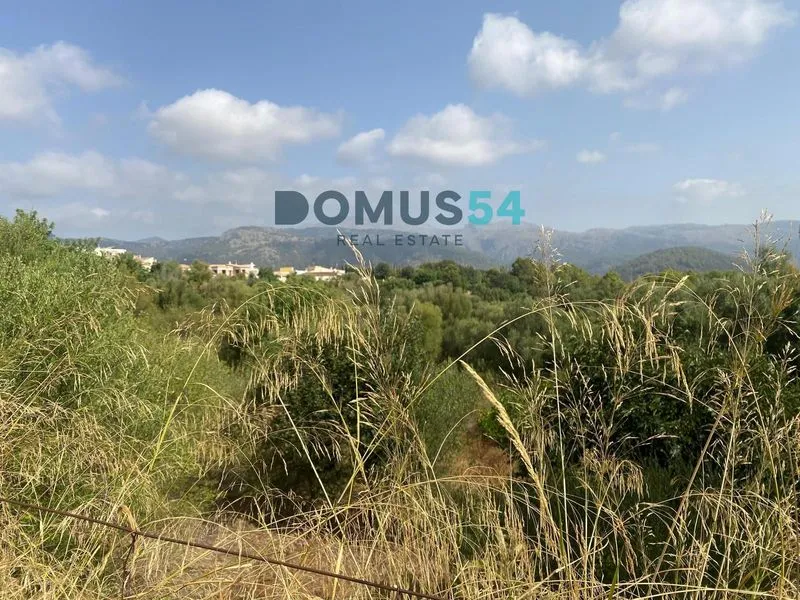 plot in Campanet — photo 2