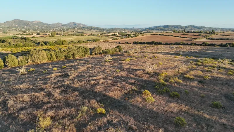 New Build Finca in Manacor: A Fusion of Luxury and Design — photo 11