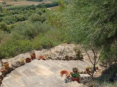 Top Small Finca with Fantastic Views and Tranquillity — photo 11