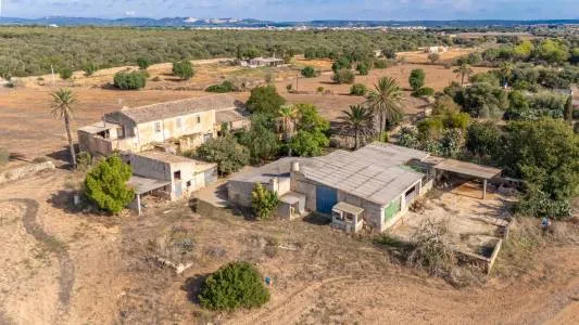 Rustic property - Campos, built surface 1300m2, plot surface 32702m2, 4 bedrooms, 2 bathrooms. — photo 3