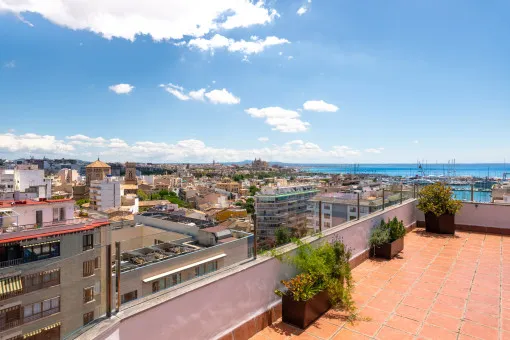 Son Armadams, exclusive penthouse with large L-shaped terrace and views over Palma, the port and the cathedral — photo 2