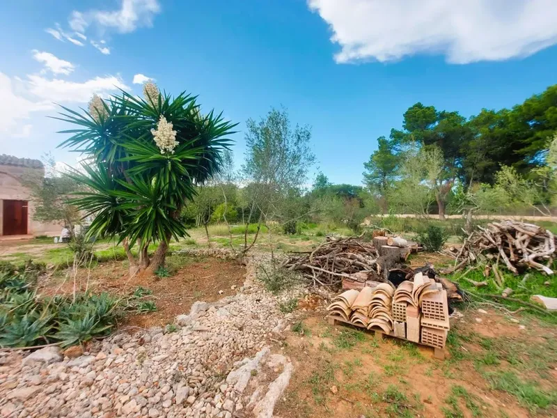 Cortijo in Muro, Mallorca — photo 2