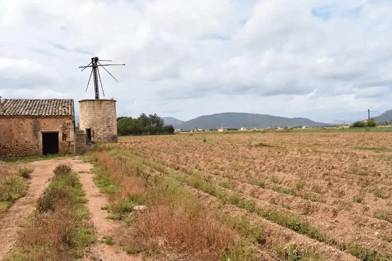 Fantastic rustic estate located in a quiet area of Sa Pobla, with a plot of 24,558 m2 and a basic project for the construction of — photo 5