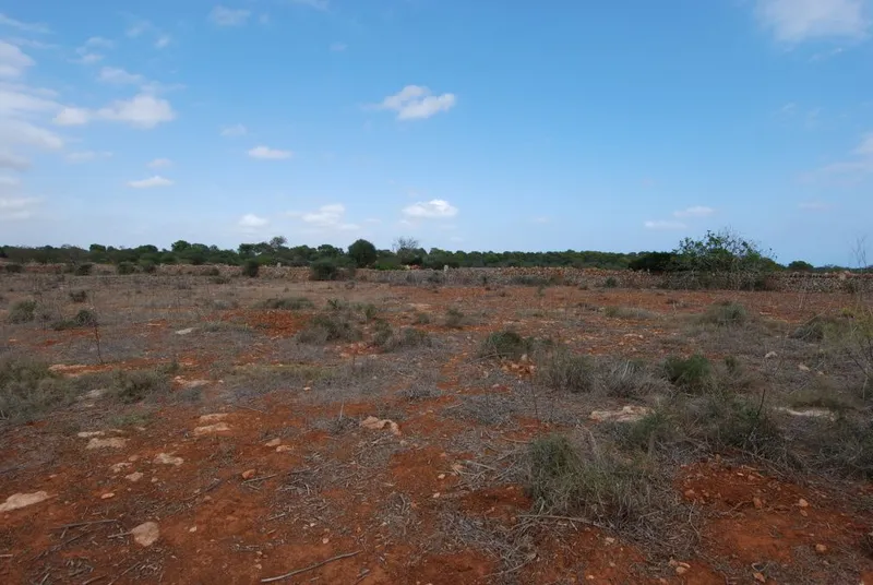 Beautiful plot of about 18,000m2 with license to build in Campos — photo 1