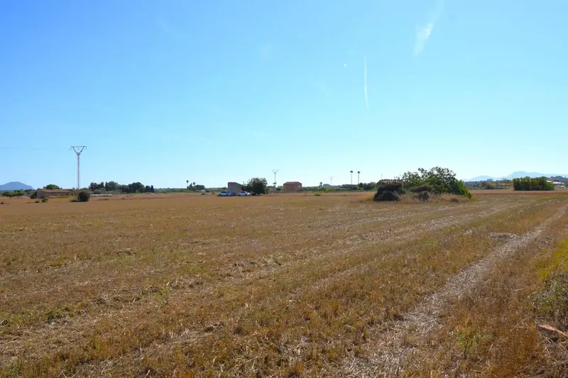 Set of two plots totaling 15,324 m² with possibility of building a house in Muro. Located approximately 5 km from the beach — photo 8