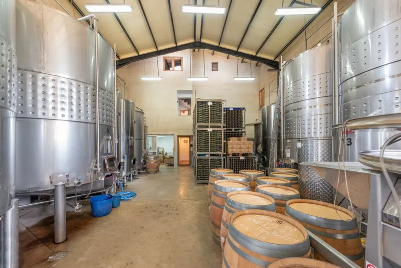 Commercial property for sale in Santa Eugènia with wine cellar — photo 6