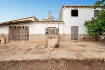 Sale Fincas Manacor — photo 3