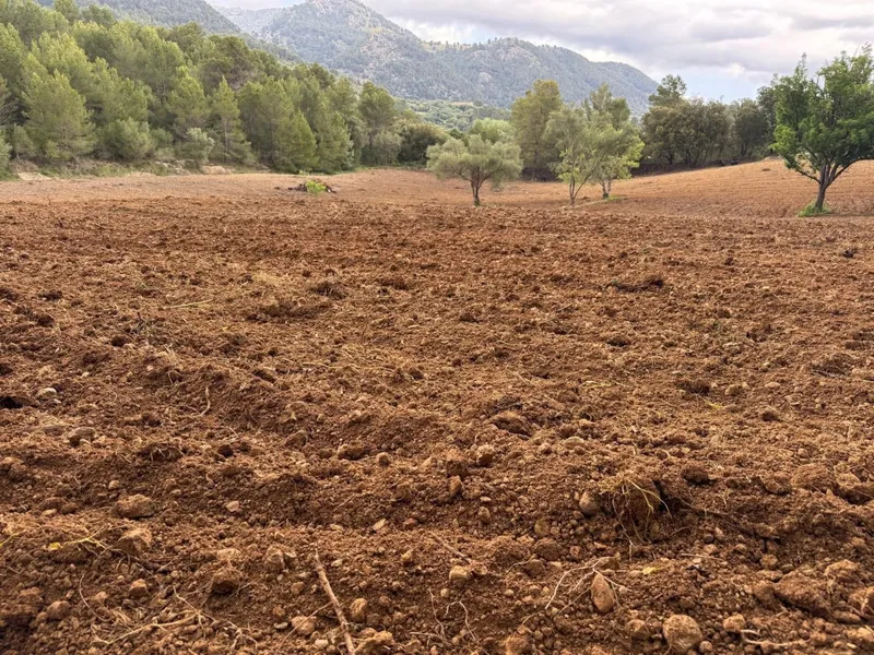 Rustic finca for sale in Selva with unbeatable views of the Serra de Tramuntana mountains — photo 2