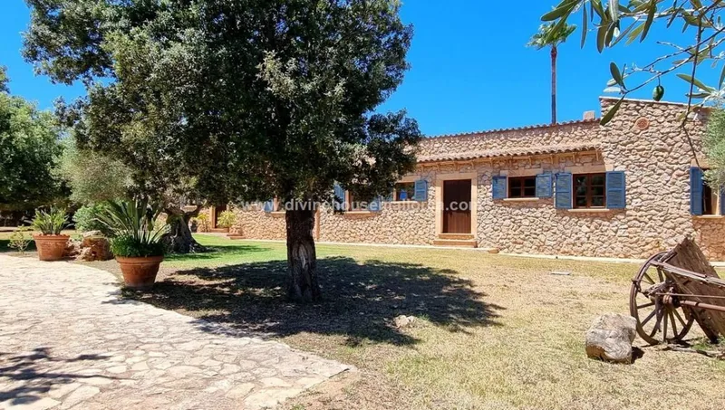Rustic finca with tourist rental license in Canyamel!! — photo 12