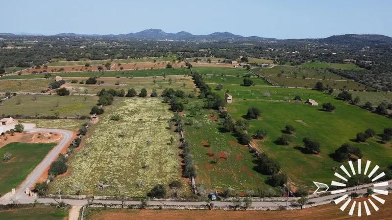 Country Estate for Sale in Santanyi of 18377 m2 — photo 3