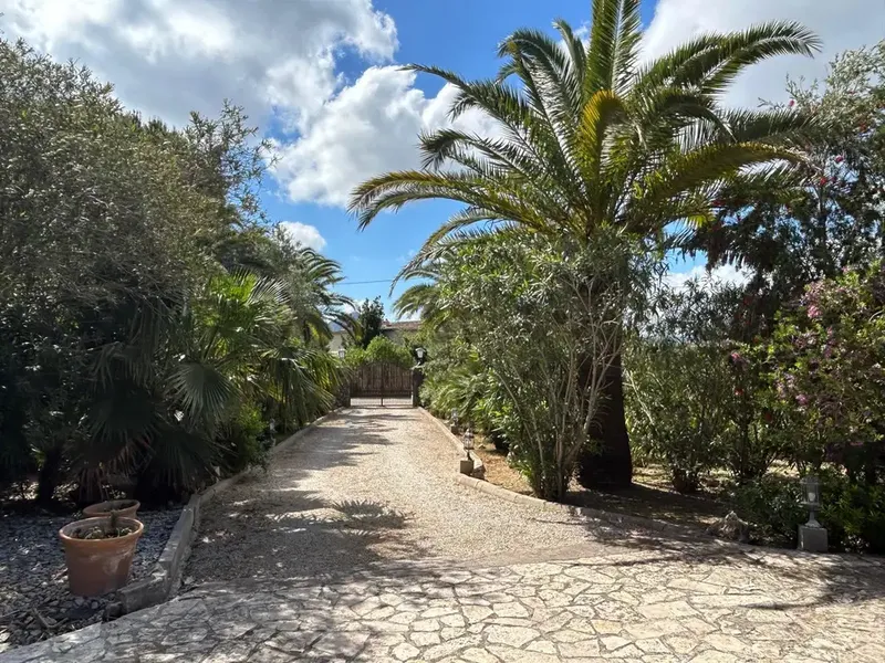 Villa in Pollenca, Mallorca — photo 3