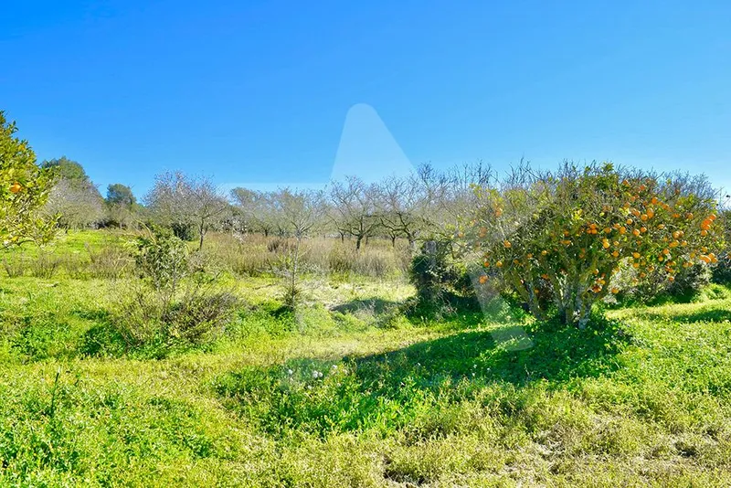 Building plot in a great location — photo 5