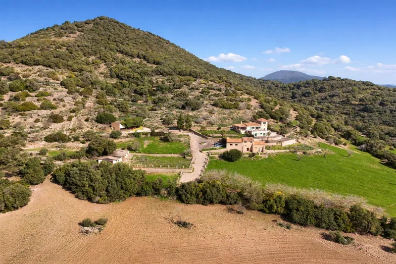Detached Villa in Manacor — photo 3