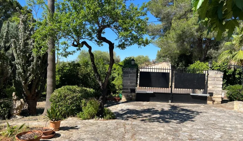 Rustic finca with independent apartment and views of the Serra de Tramuntana – Inca — photo 2