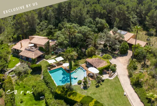 Finca property with guest house, pool area, vineyard and views of Artà — photo 2