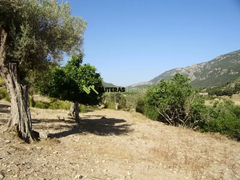 Fantastic estate in the Orient area with incredible panoramic views of the Serra de Tramuntana, located in an elevated and idyllic spot surrounded — photo 7