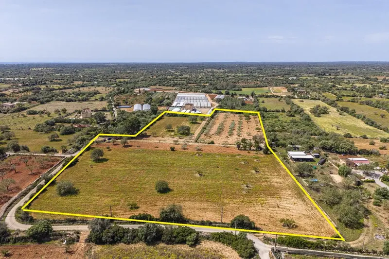 Unique opportunity to build a property to your liking, located in the Son Puigserver area, Llucmajor, with an area of 26,144 m² — photo 1
