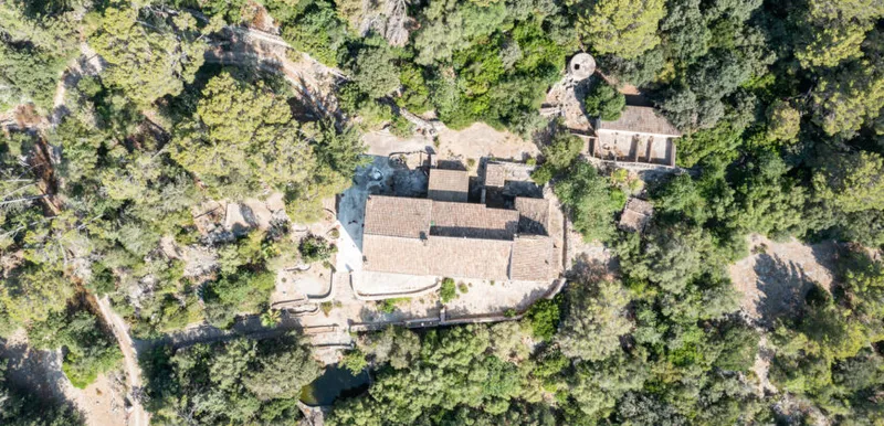 Ca’n Martorellet: 13th-century historic estate with 244 hectares in Pollença — photo 7