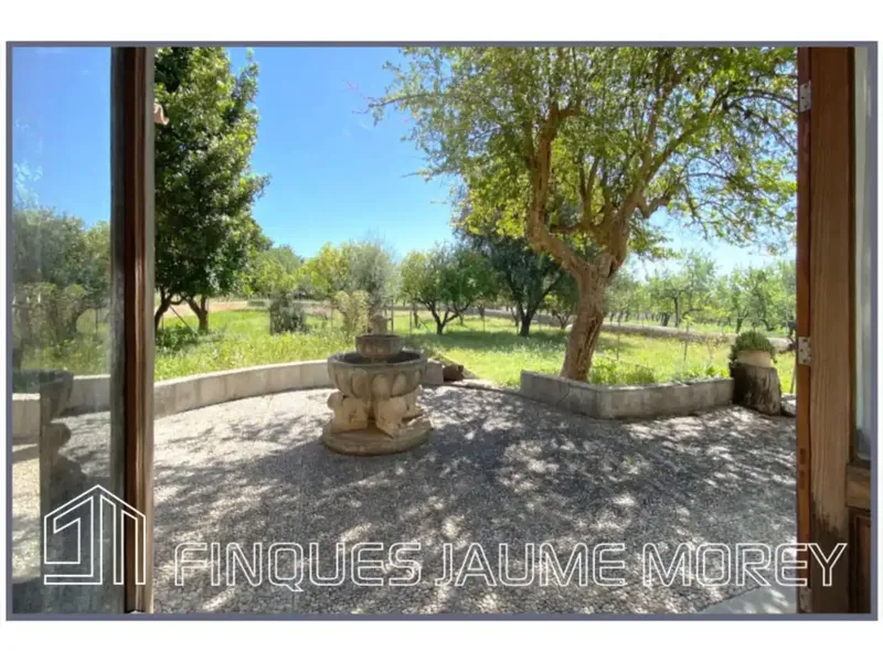 Si buscas tranquilidad en uno de los mejores pueblos de la isla situado a los pies de la sierra de Tramuntana, esta es la casa que estabas b — photo 10