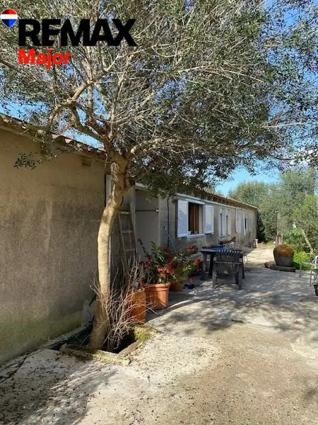 Mediterranean Sanctuary near Sineu – 3.5 Hectares of Pure Nature — photo 6