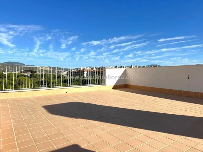 Penthouse. Palma de Mallorca, Son Cotoner area — photo 7
