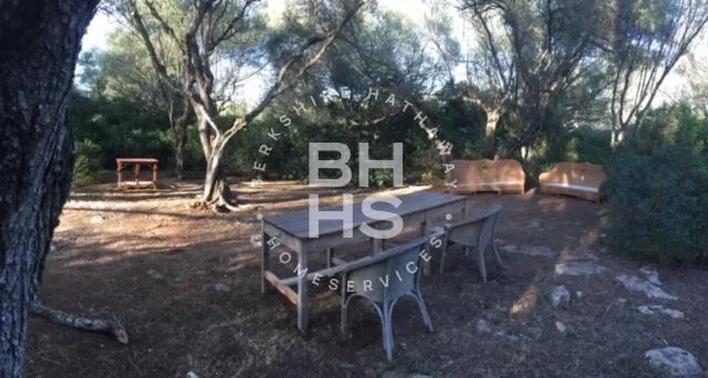 Country plot for sale in Felanitx — photo 10